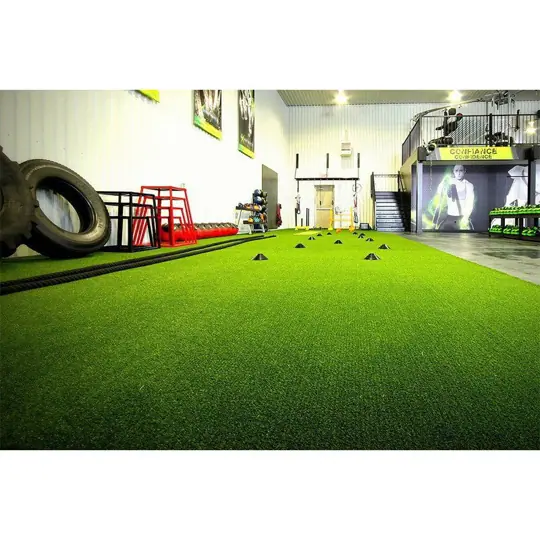 Real indoor performance turf project